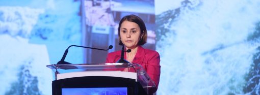 Cum să-ți protejezi culturile de legume cu serele de la Micul Fermier?